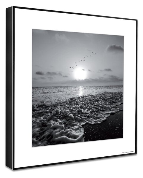 Quadri in set di 4 30x30 cm Silence by the Water