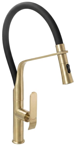 Rubinetto Da Cucina Rea Castor Nero, Oro Spazzolato