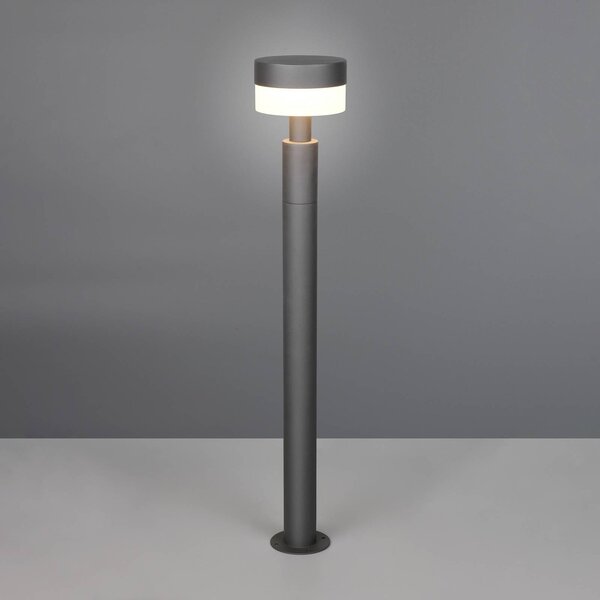 Trio Lighting Lampioncino da giardino Mackenzie, Nero, Alluminio, Moderno, Lampada LED da esterni