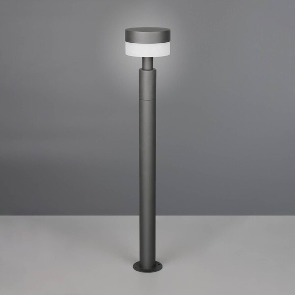 Trio Lighting Lampioncino da giardino Mackenzie, Nero, Alluminio, Moderno, Lampada LED da esterni