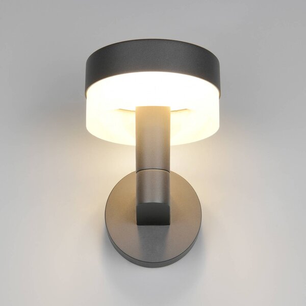 Trio Lighting Applique da esterni a LED Mackenzie, Nero, Alluminio, Moderno, Applique LED da esterni