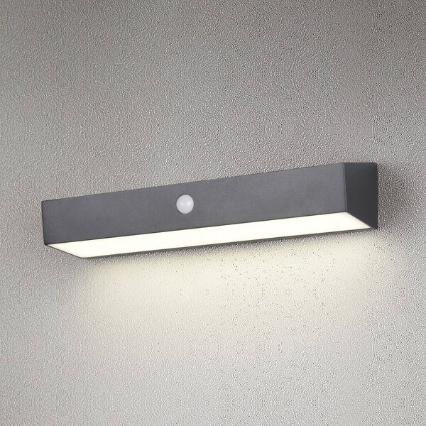 Reality Leuchten Applique da esterni a LED con sensore Silves, Nero, Plastica, Applique LED da esterni