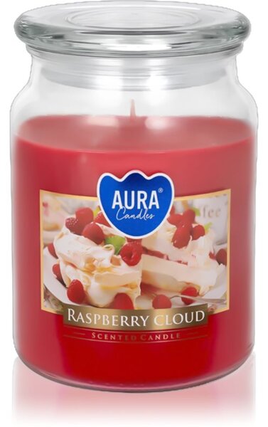 BISPOL Premium Line Raspberry Cloud candela profumata 500 g