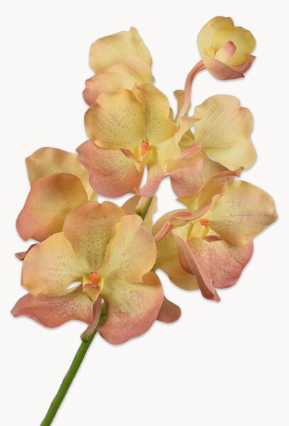 Set di 2 fiori artificiali fatti a mano Vanda