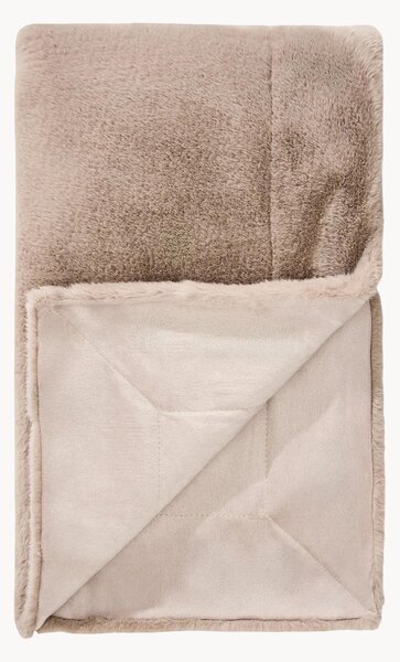Coperta Dave