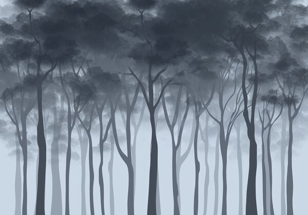 Carta da parati Gruppo di alberi nella nebbia, Carta da parati Foresta, Carta da parati popolare, t01049v1 - Tapeko.it