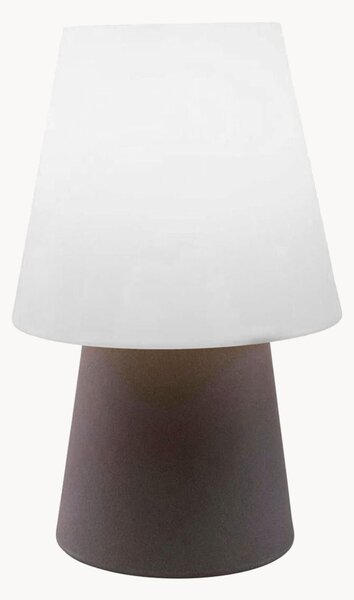 Lampada da terra solare a LED No. 1