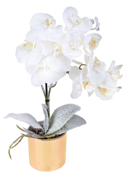 Set 2 Centrotavola con Orchiedea Ø9 cm Bianco