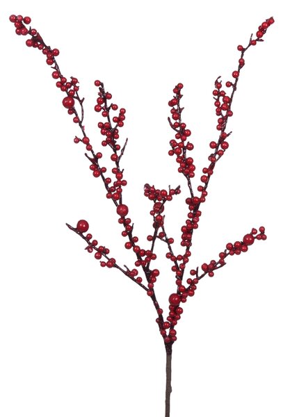 Set 6 Rami Ilex H85 cm Rosso