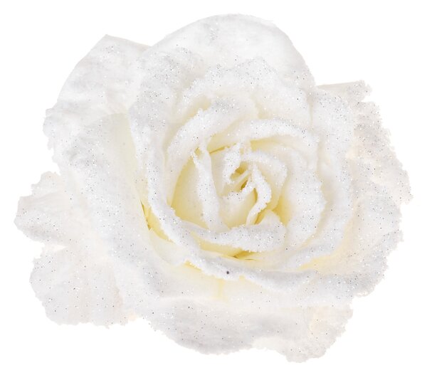 Set 24 Rosa con Clip.Ø15 cm Bianco