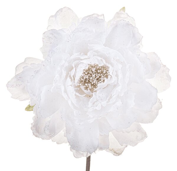 Set 12 Pick Peonia Ø14 cm Bianco