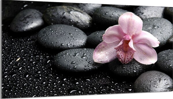 Piastra copripiano cottura 90x52 Piastra copripiano cottura in Vetroceramica alzatina in vetro tagliere decorativo, rosa orchidea