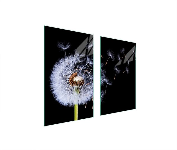 Piastre copri fornelli 2 pezzi 75x52 Copri piano cottura in Vetroceramica tagliere in vetro dente di leone nero