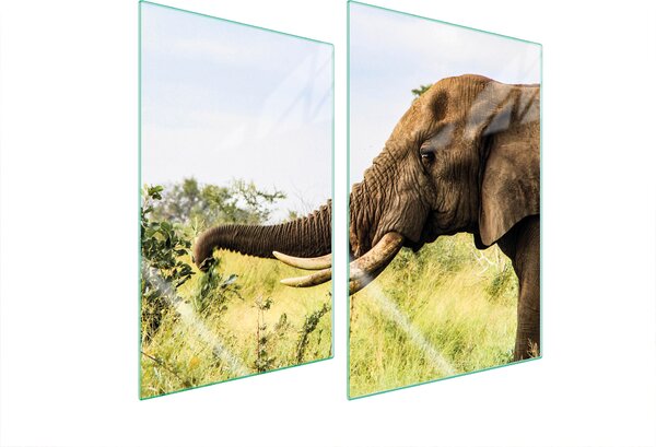 Piastre copri fornelli 2 pezzi 35x52 Vetroceramica copri piano cottura tagliere in vetro elefante animale