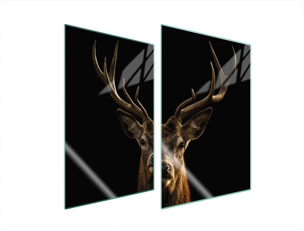 Piastre copri fornelli 2 pezzi 35x52 Copri piano cottura in Vetroceramica tagliere in vetro cervo nero