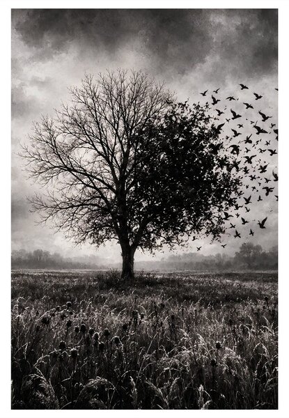 Quadro su tela – Albero della vita e stormo di uccelli