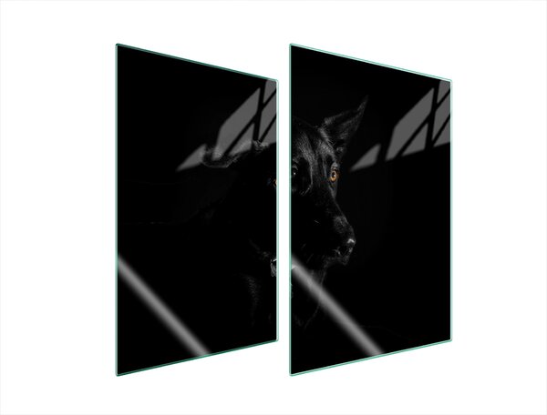 Piastre copri fornelli 2 pezzi 35x52 Vetroceramica copri piano cottura vetro tagliere cane nero
