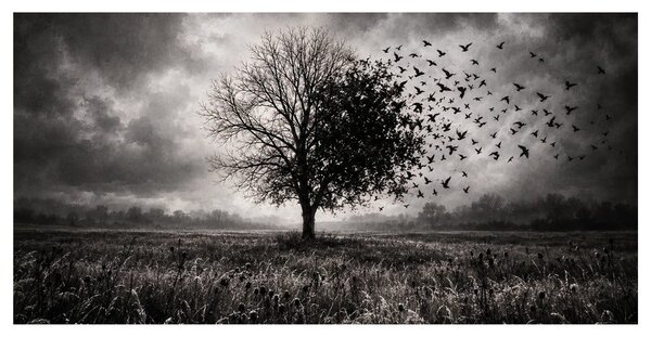 Quadro su tela – Albero della vita in paesaggio oscuro