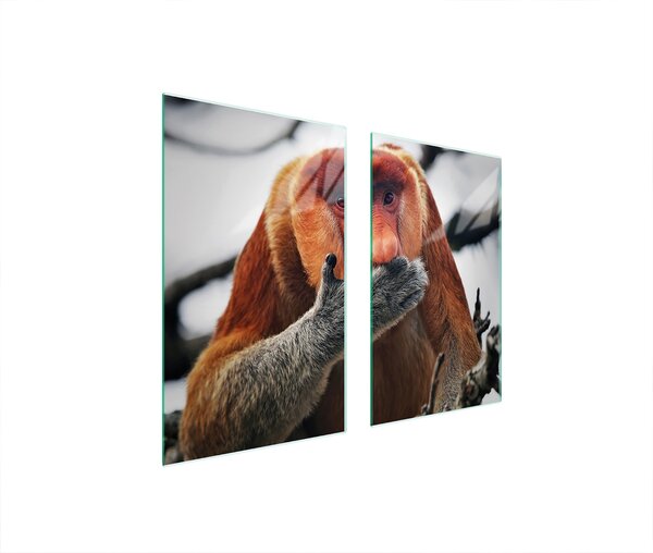 Piastre copri fornelli 2 pezzi 75x52 Copri piano cottura in Vetroceramica tagliere in vetro scimmia animale