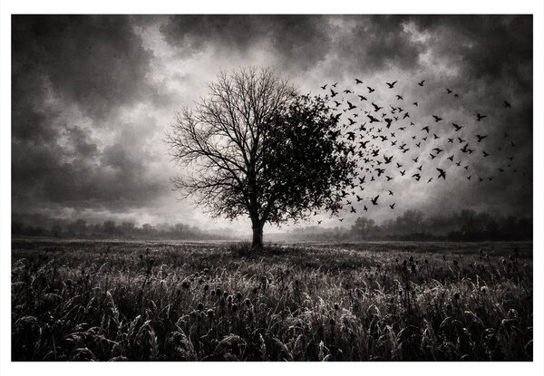 Quadro su tela – Albero della vita nella tempesta