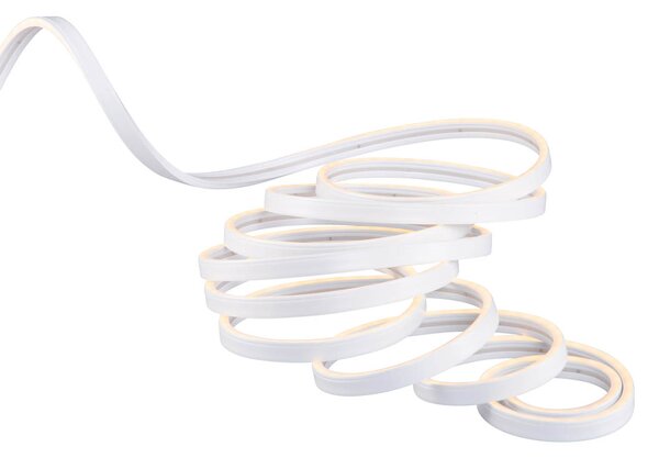 Striscia LED dimmerabile 5 metri RGBW 20W 1600LM 3000K