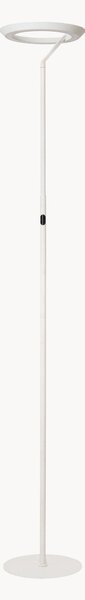 Lampada da terra fatta a mano a LED con luce regolabile Celeste