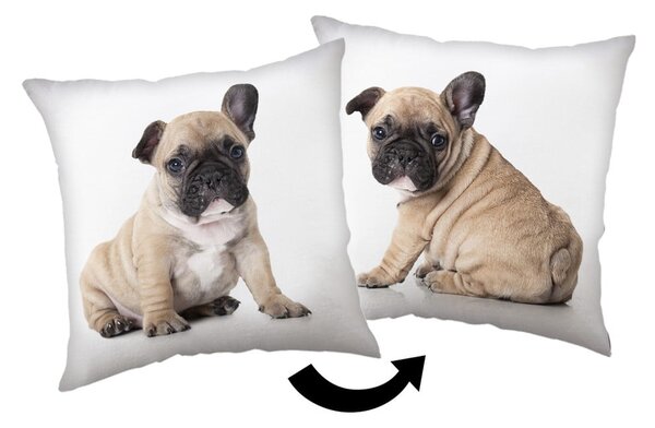 Cuscino per bambini 40x40 cm Bulldog – Jerry Fabrics