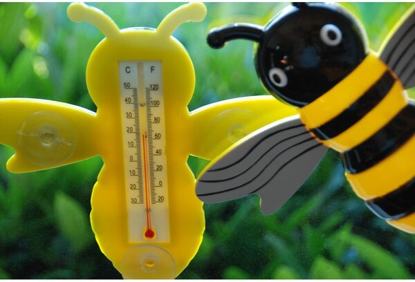 Termometro da esterno Bee - Esschert Design