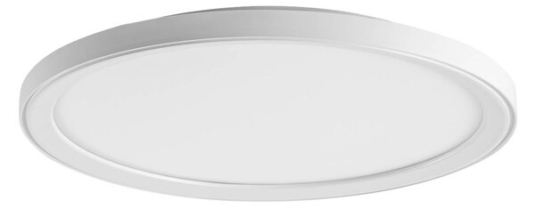 BRUMBERG Plafoniera Sunny Midi, DALI, 3.000 K, bianco dimmerabile, Bianco / Opale, Soggiorno / Sala da pranzo, Alluminio, Moderno