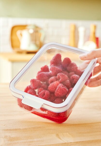 Organizer da frigo in plastica Cauma - Rotho