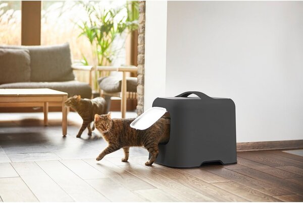 Lettiera per gatti 40x51 cm Biala - Rotho