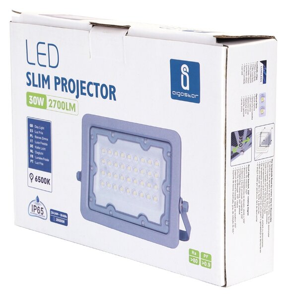 Faro proiettore Led 30W Grigio da esterno IP65 Bianco freddo 6500K Aigostar