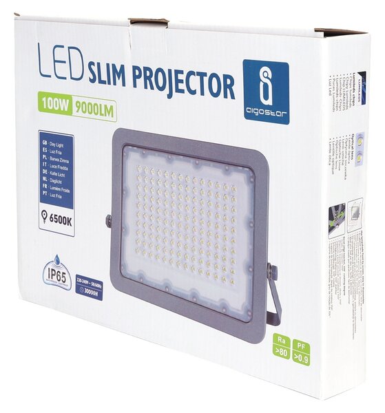 Faro proiettore Led 100W Grigio da esterno IP65 Bianco freddo 6500K Aigostar