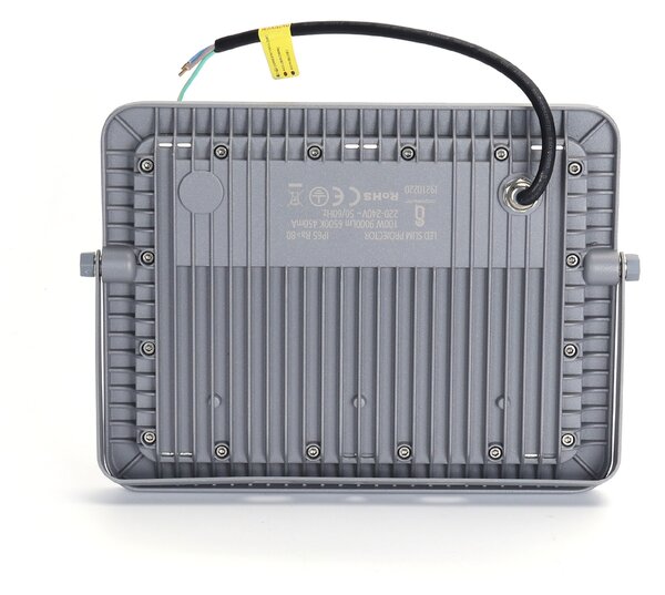 Faro proiettore Led 100W Grigio da esterno IP65 Bianco freddo 6500K Aigostar