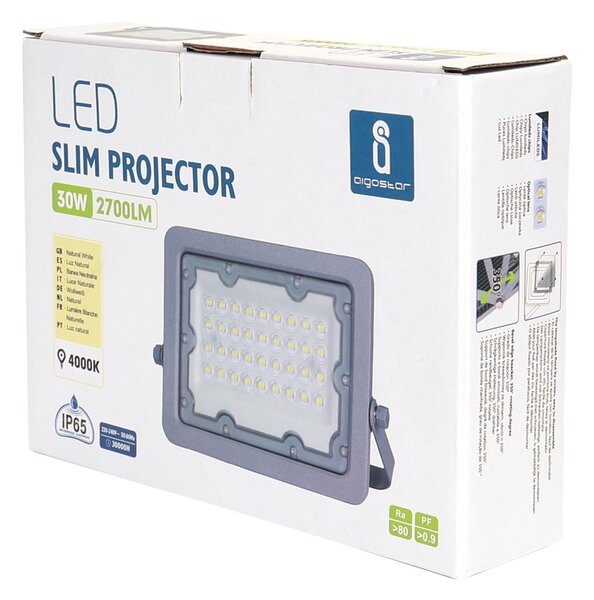 Faro proiettore Led 30W Grigio da esterno IP65 Bianco neutro 4000K Aigostar
