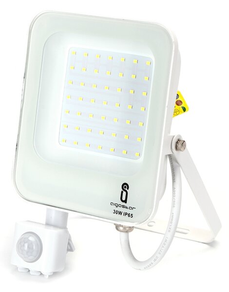 Faro proiettore Led 30W Bianco da esterno IP65 Bianco freddo 6500K con sensore crepuscolare e di movimento Aigostar