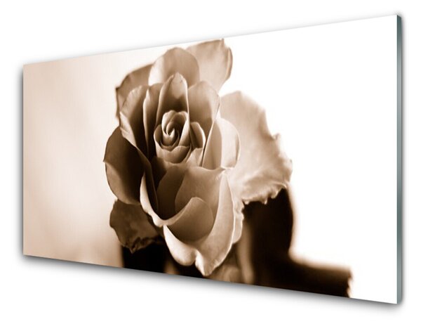 Quadro vetro Pianta di fiori di rosa 100x50 cm