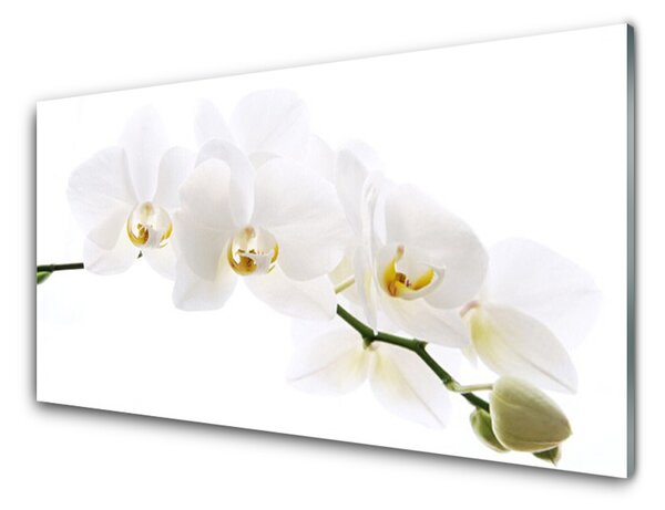 Quadro su vetro Fiori di orchidea 100x50 cm