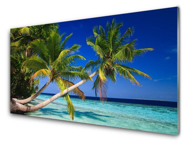 Quadro in vetro Palm Tree Sea Landscape 100x50 cm