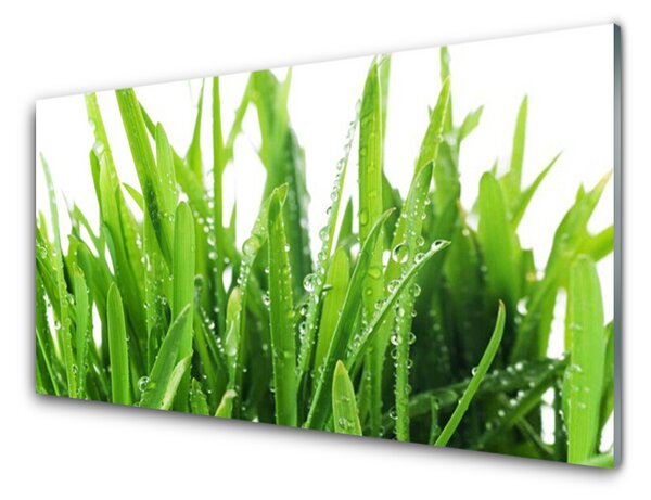 Quadro di vetro Pianta d'erba 100x50 cm
