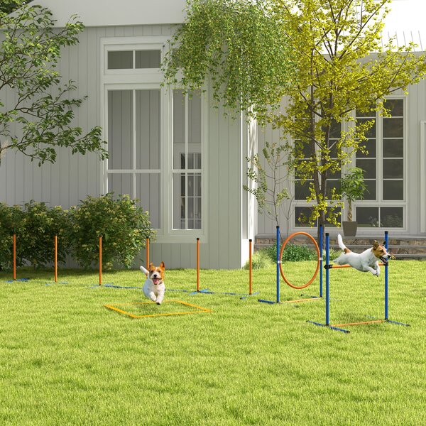 PawHut Set Agility Dog con Anello e Barra per Salto, Paletti Slalom, Fischietto, Palline e Borsa, Arancione | Aosom Italy