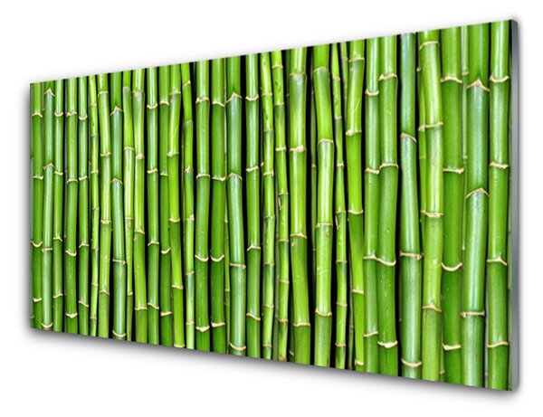 Quadro vetro Pianta di fiori di bambù 100x50 cm