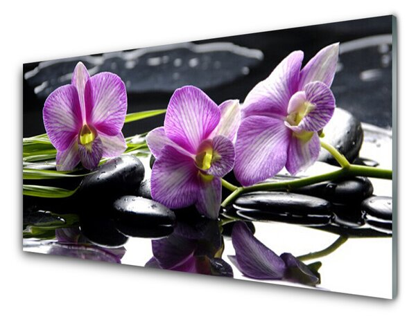 Quadro in vetro Pianta di orchidea da fiore 100x50 cm