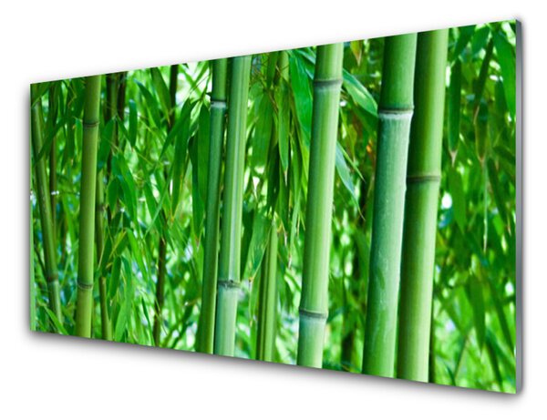 Quadro in vetro Pianta a stelo di bambù 100x50 cm