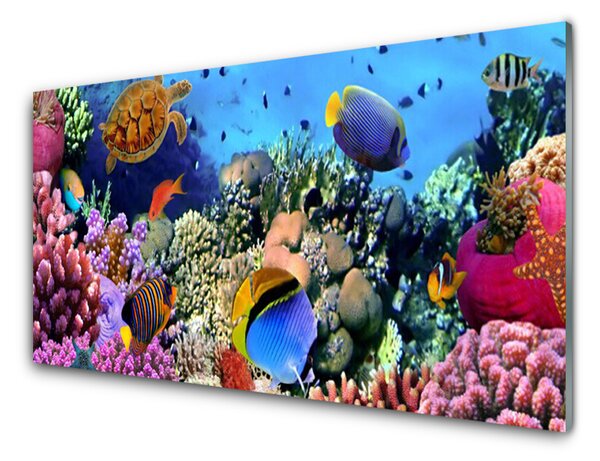 Quadro in vetro Natura della barriera corallina 100x50 cm 2 appendini