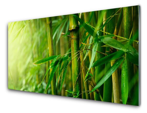 Quadro su vetro Pianta a stelo di bambù 100x50 cm