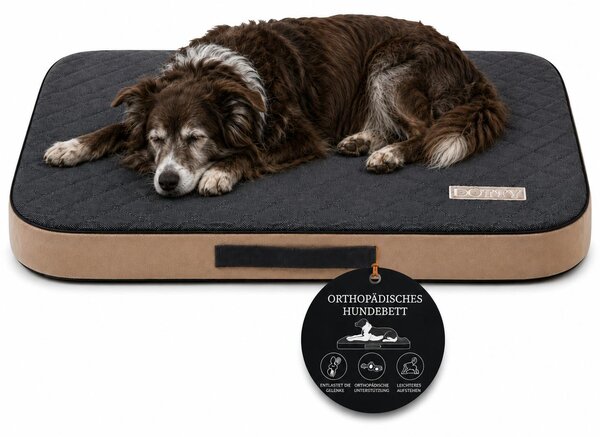 Materasso ortopedico per cani, cuccia, delicato sulle articolazioni, dimensioni L 100x75 cm, colore grigio