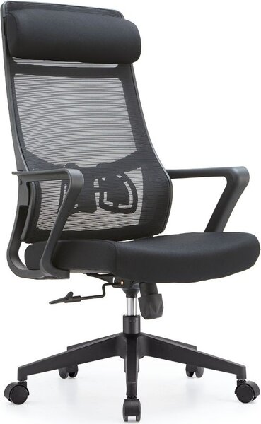 Icon Space Sedia Ergonomica con Ruote Braccioli e Poggiatesta in Tessuto Mesh colore Nero - Pasco