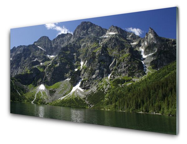 Quadro in vetro Montagne Lago Foresta Paesaggio 100x50 cm
