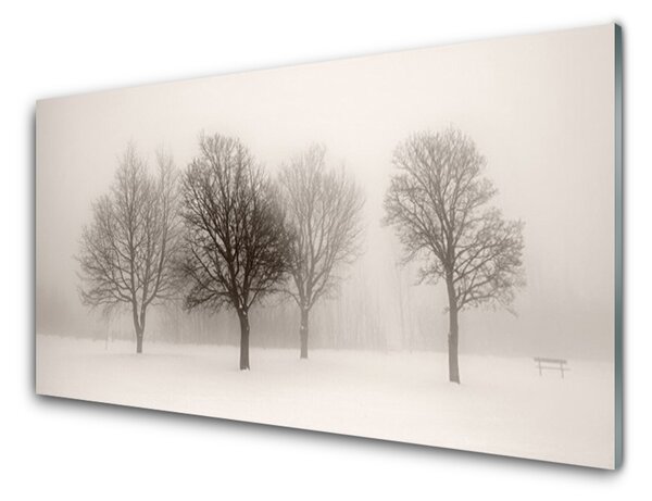 Quadro su vetro Neve Alberi Paesaggio 100x50 cm